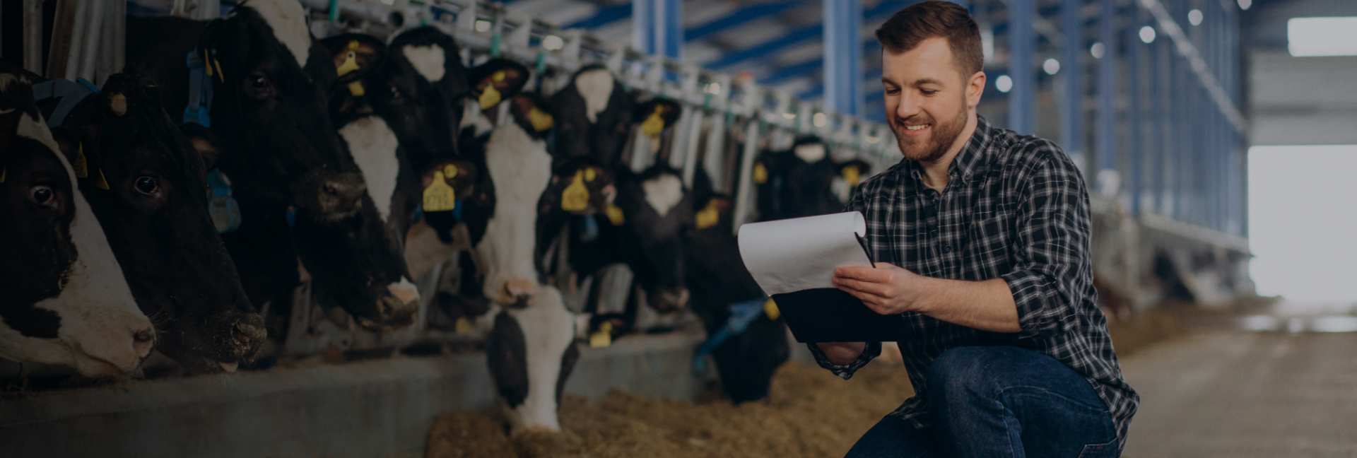 Материалы для фермы